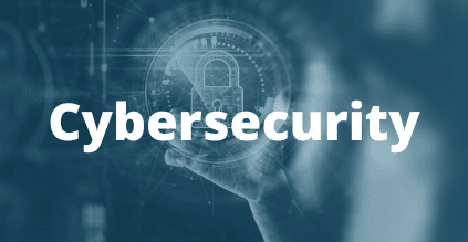 Cybersecurity expertise Berg software