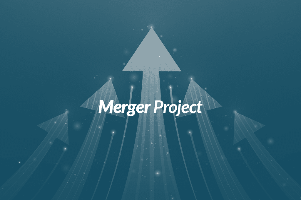 Merger Project